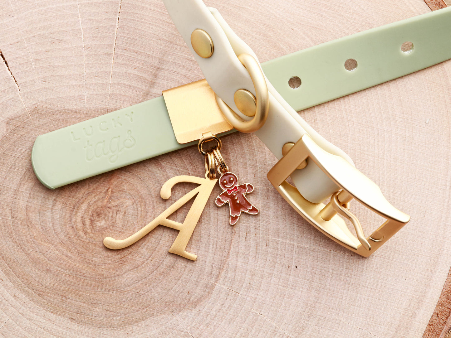 Lucky Tags Collar with Collar Charms.
