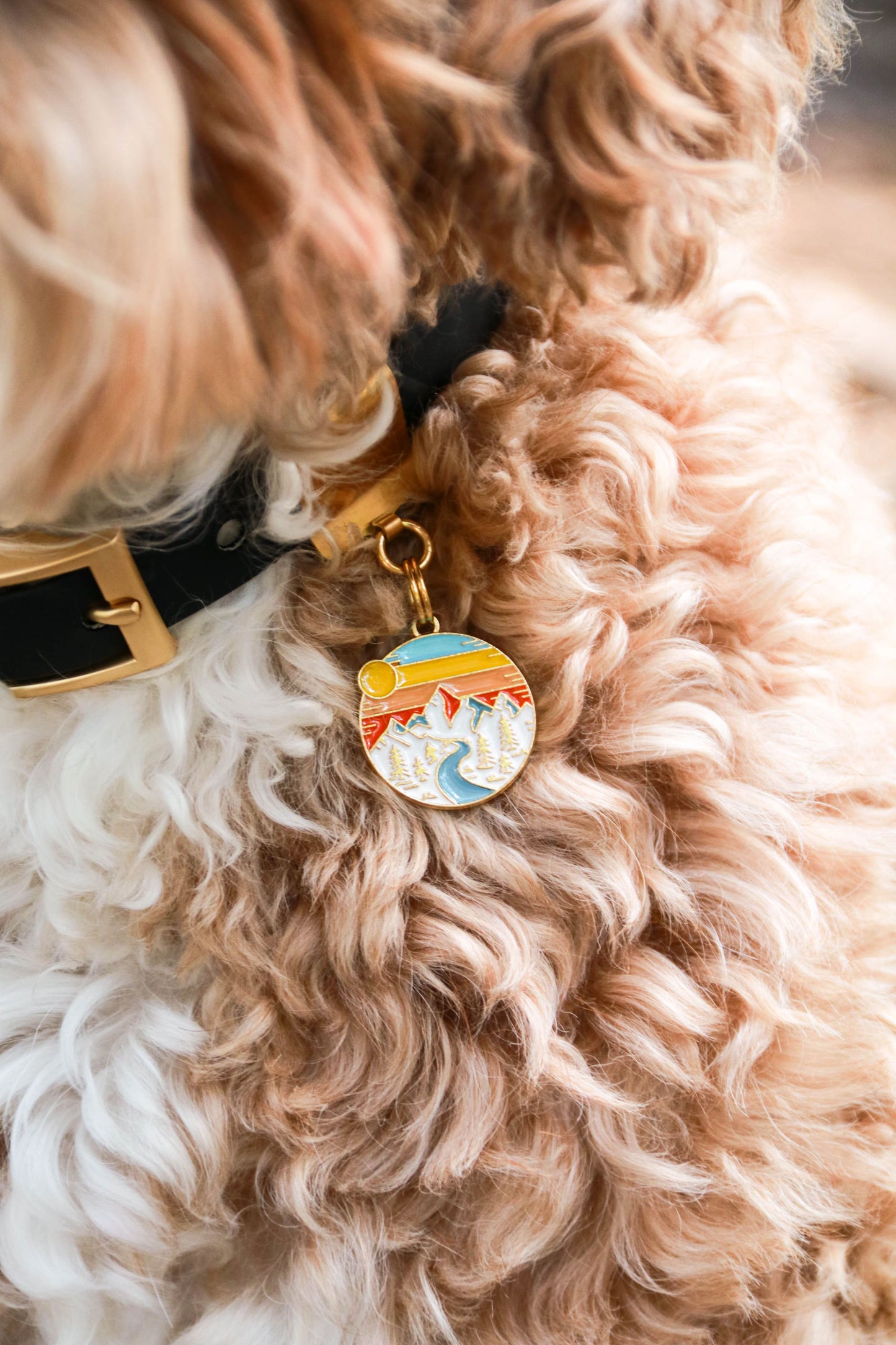 Landscape Charms