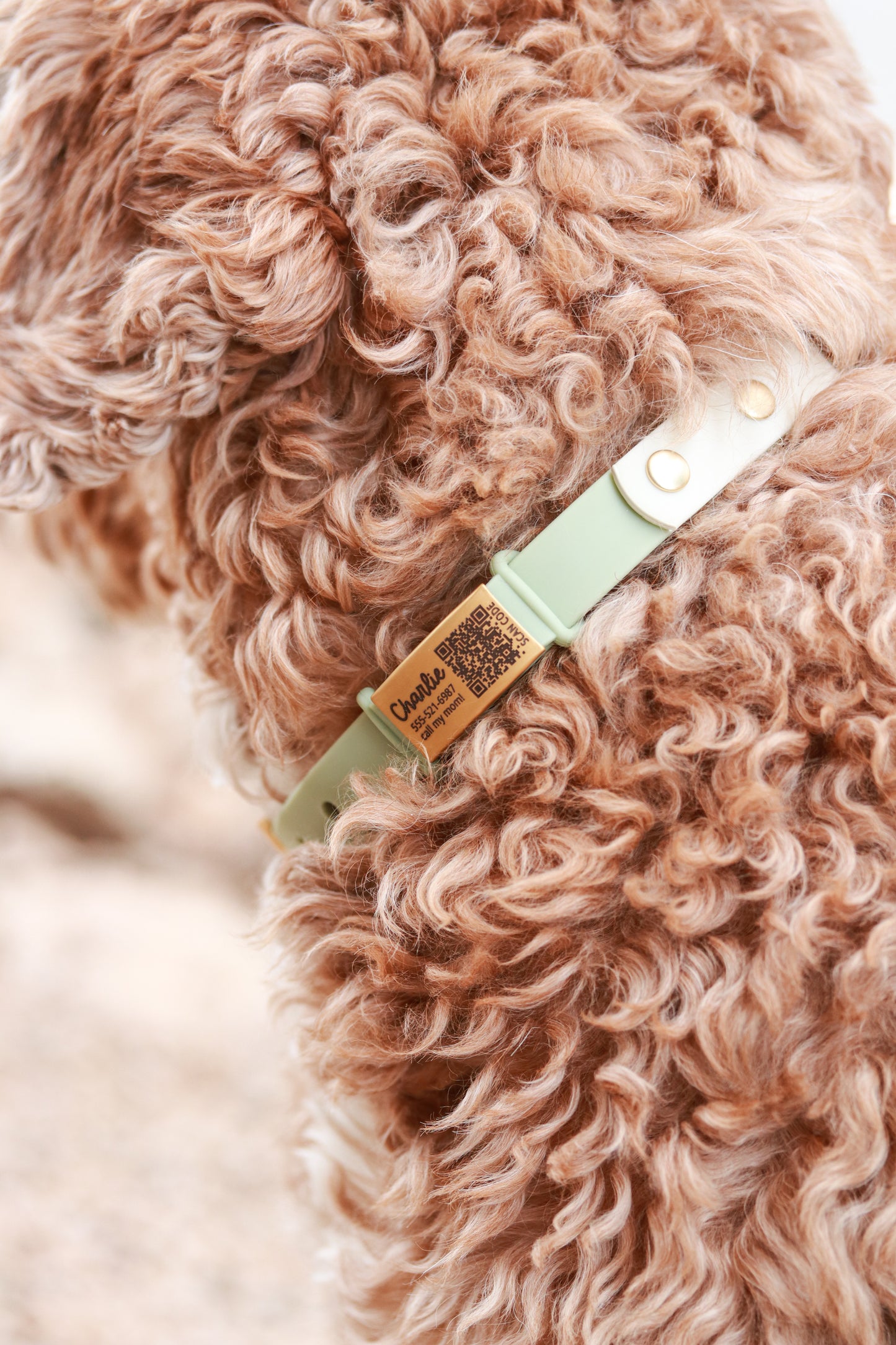 Silicone QR Code Pet ID Tag