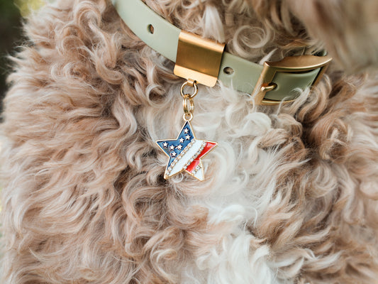 Patriotic Collar Charms