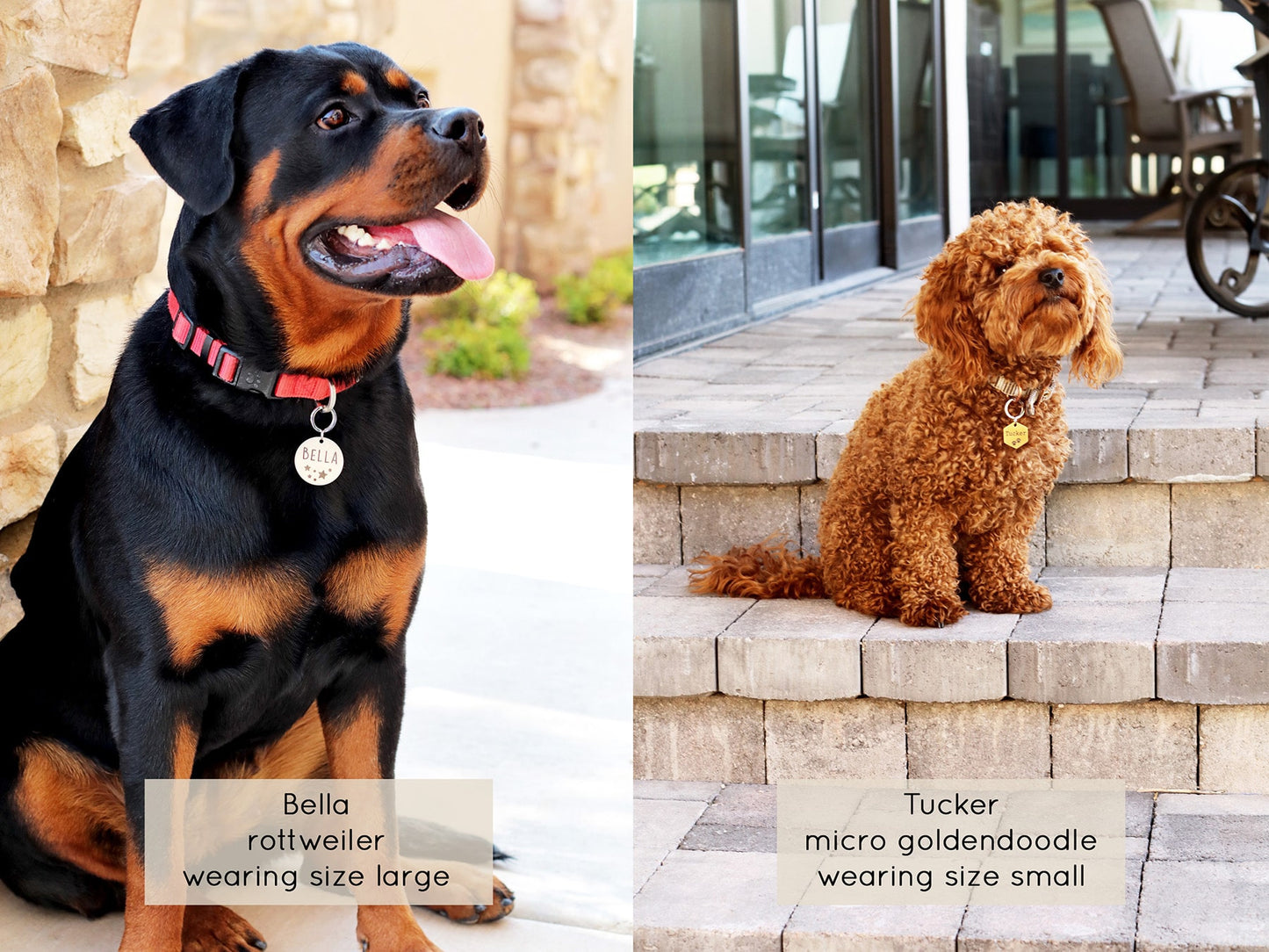 Lucky Tags, custom dog tags, engraved tags, beach tags, personalized tags, pet tags, collar tags, all tags, order dogs tags, puppy tags, golden doodle tags, Rottweiler tags