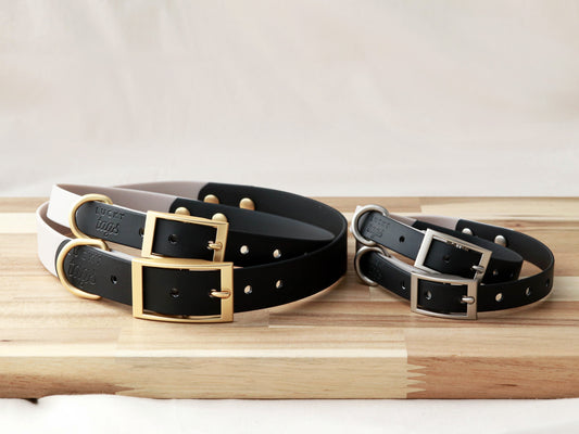 Stylish dog collars featuring elegant gold or stainless steel buckles from Lucky Tags.