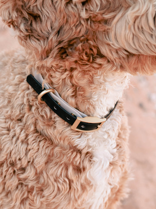 Black Waterproof Collar