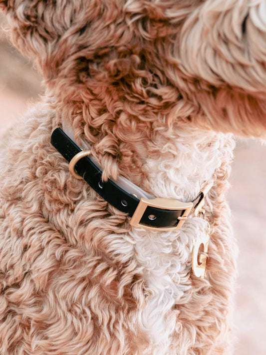 Black Waterproof Leash