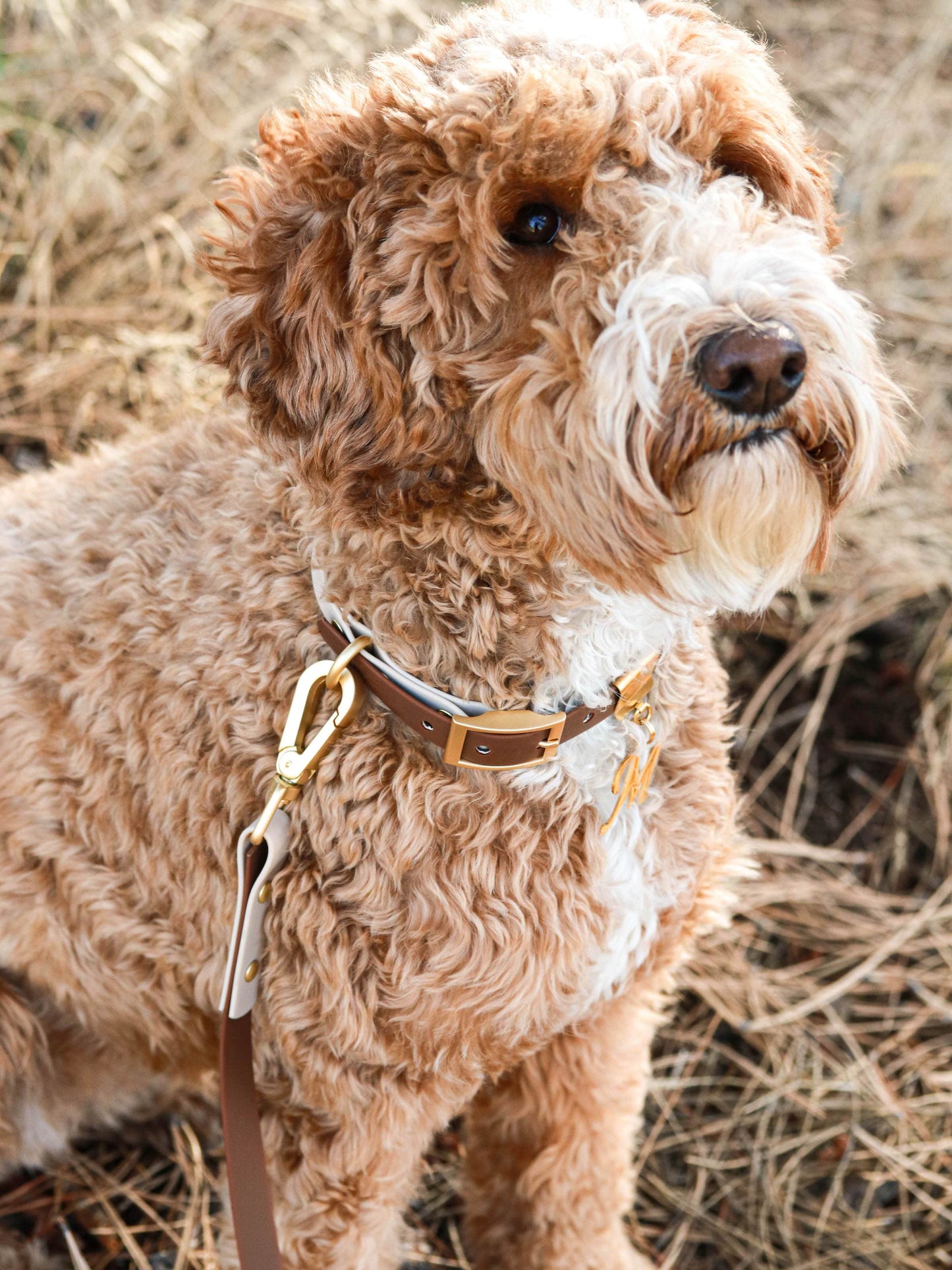 Brown Waterproof Leash