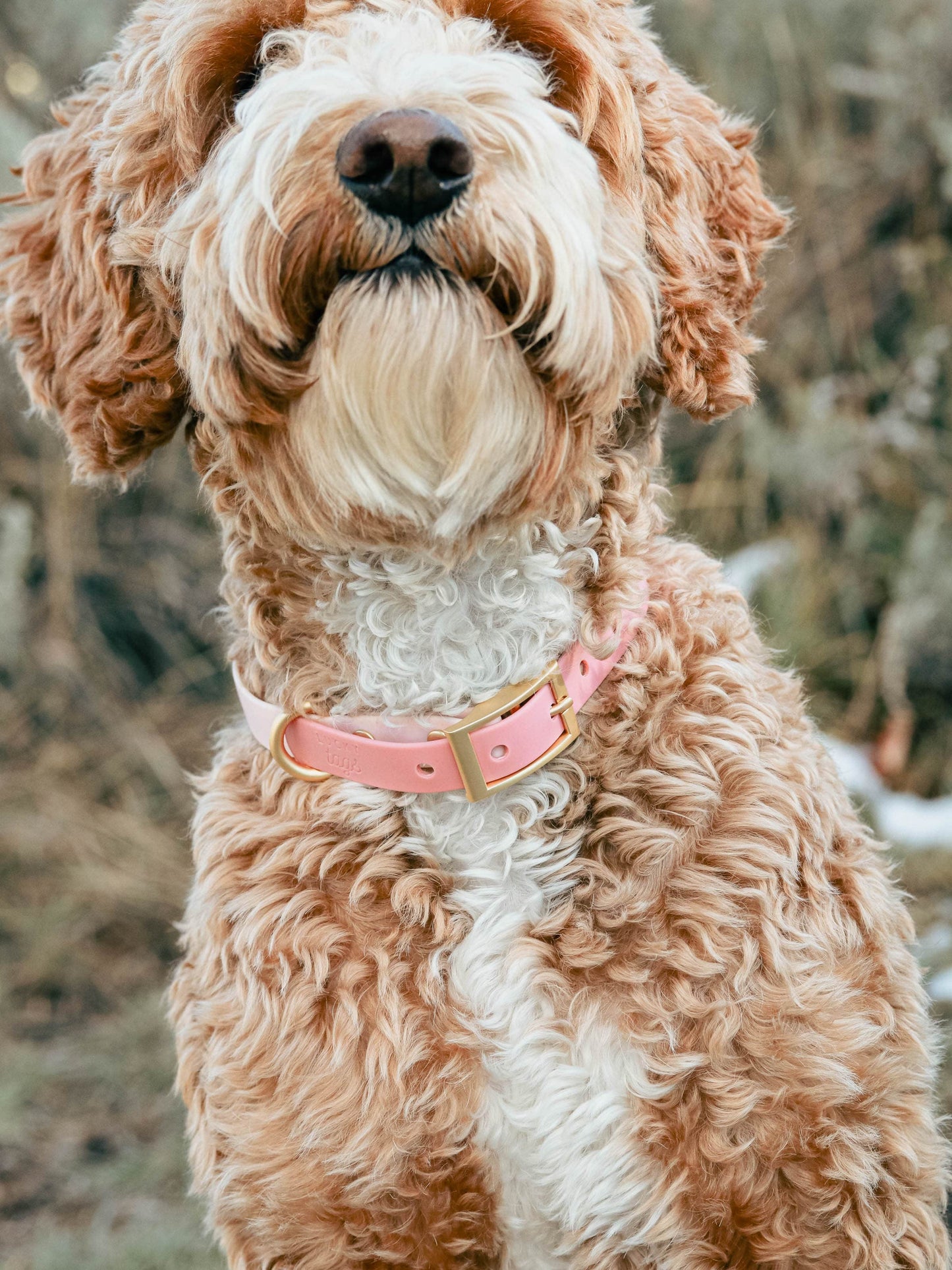 Pink Waterproof Collar