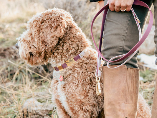 Purple Waterproof Leash