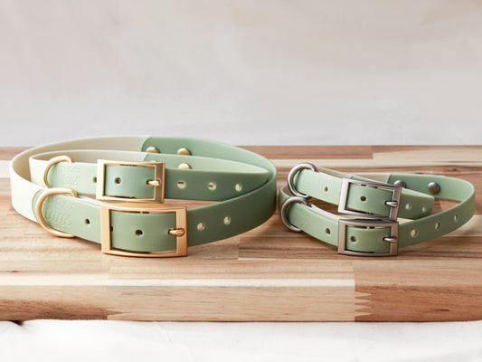 Sage Waterproof Collar