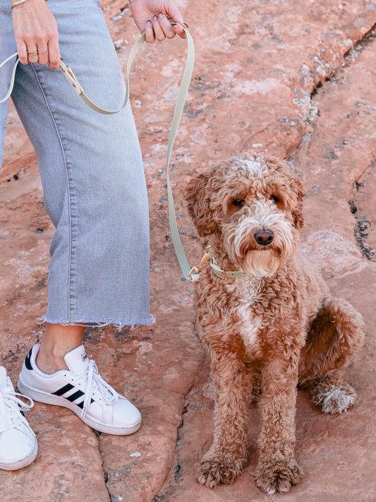 Sage Waterproof Leash