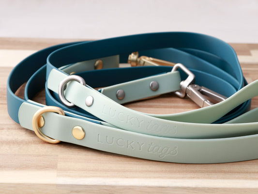 Teal Waterproof Leash