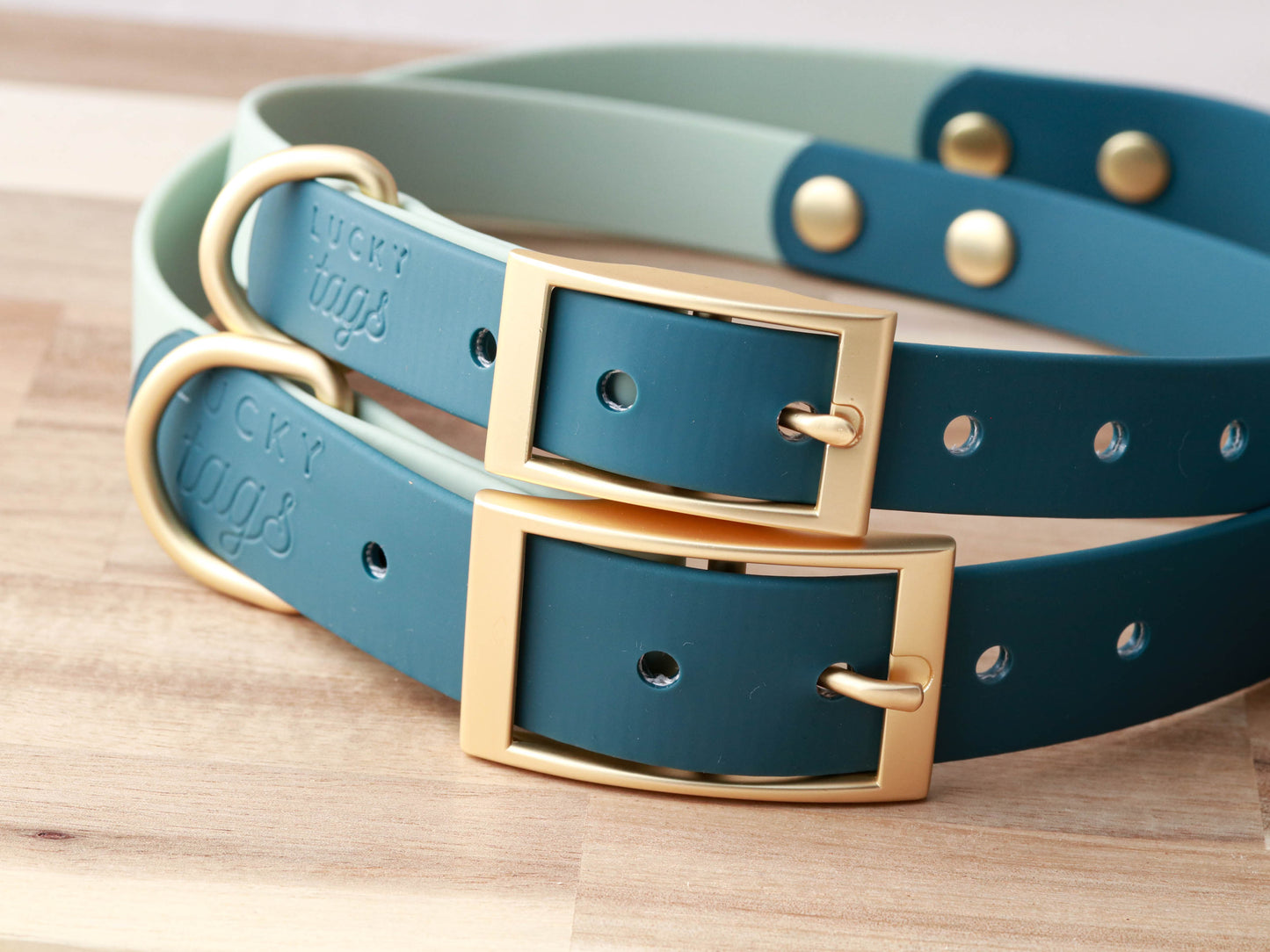 Teal Waterproof Collar