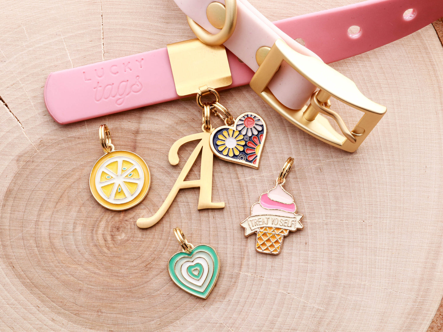 Collar Charms