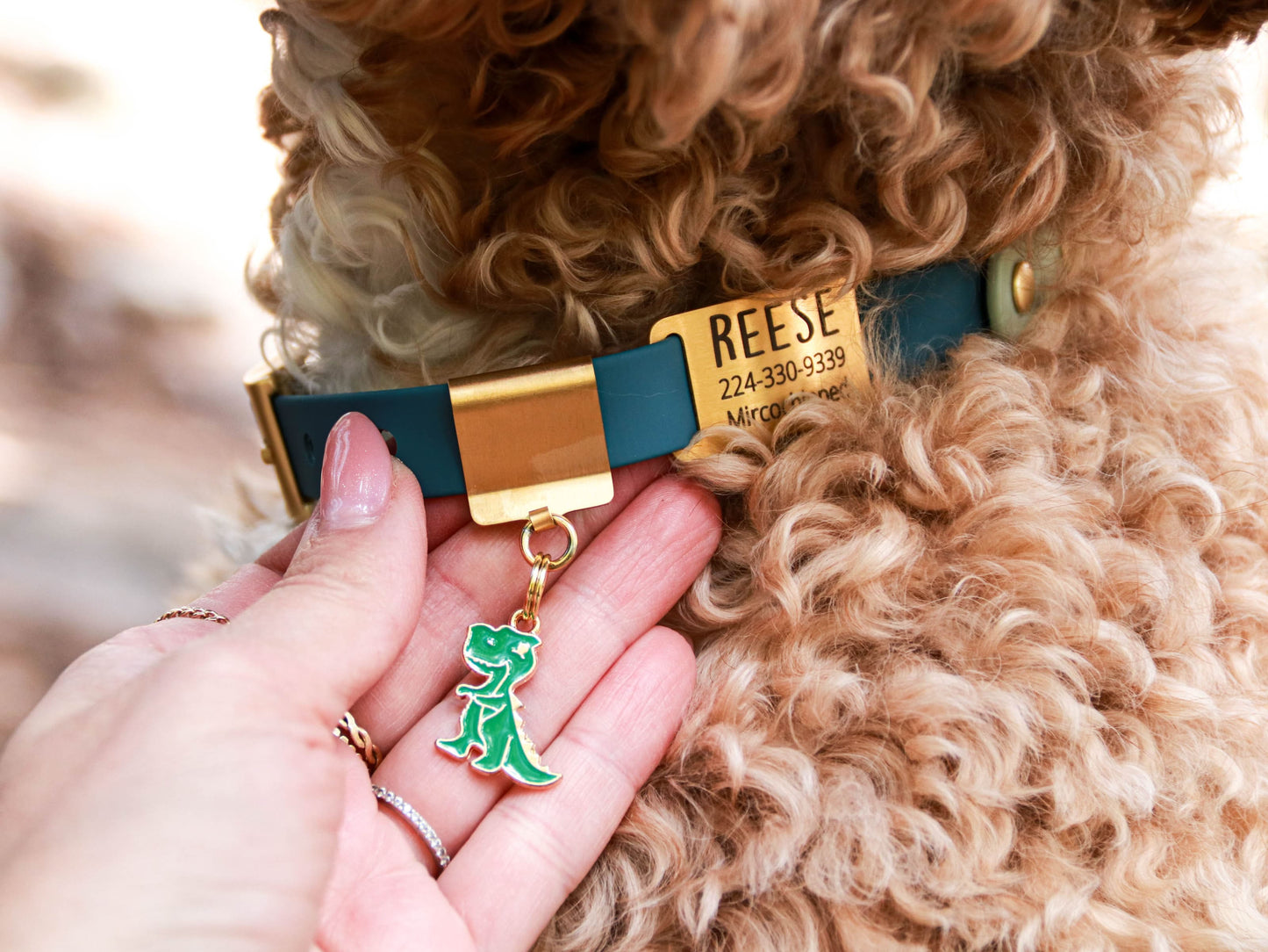 Lucky Tags Dinosaur Collar Charm on a Lucky Tags Collar with a Lucky Tags Silent Tag