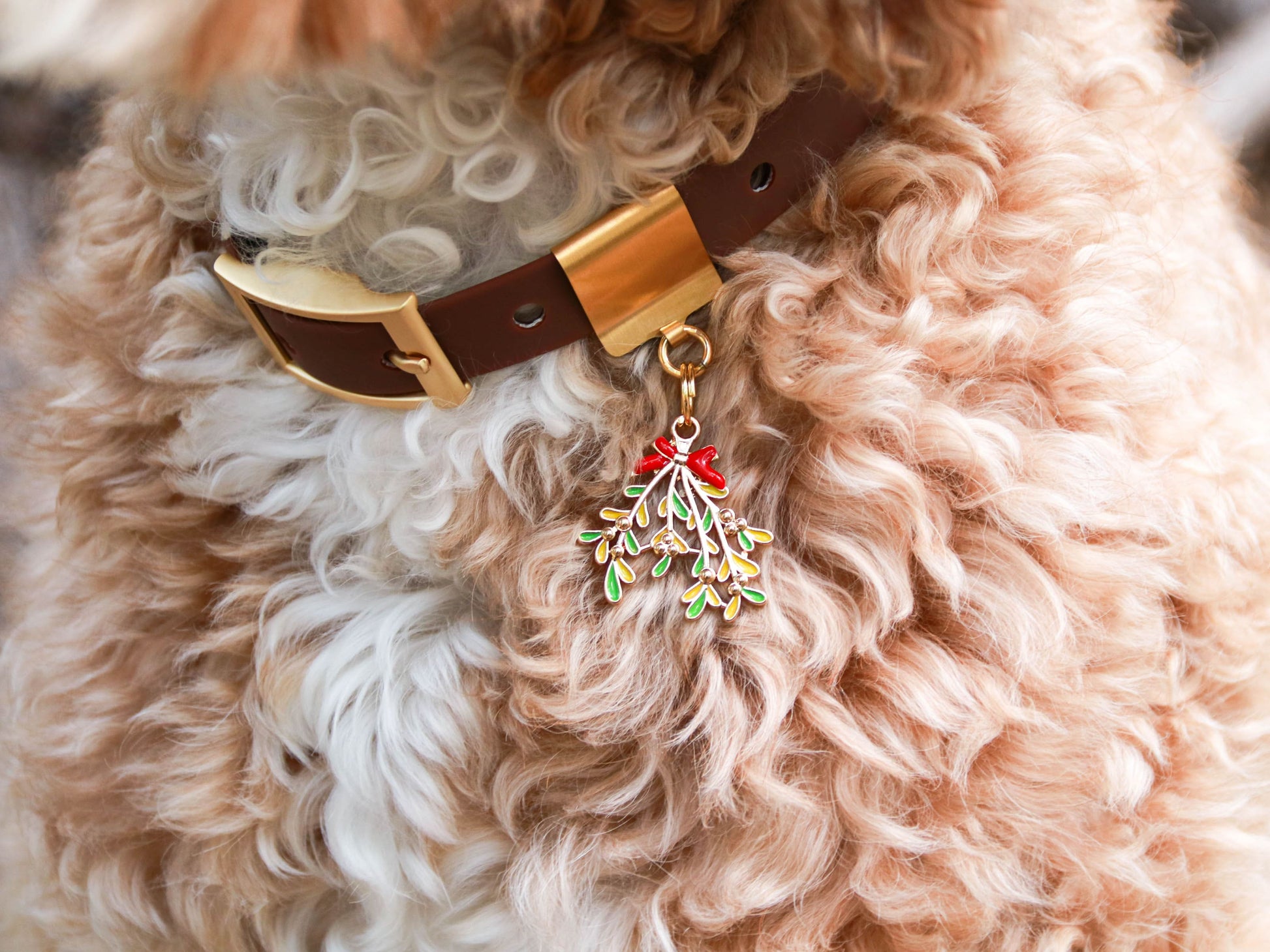 Mistletoe Collar Charm attached to brown Lucky Tag collar.