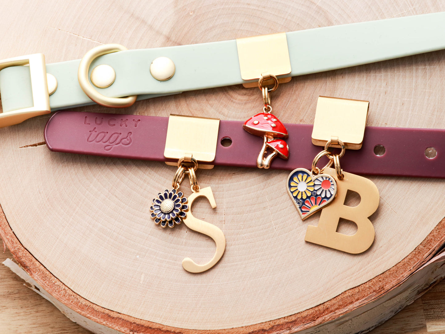 Collar Charms by Lucky Tags.