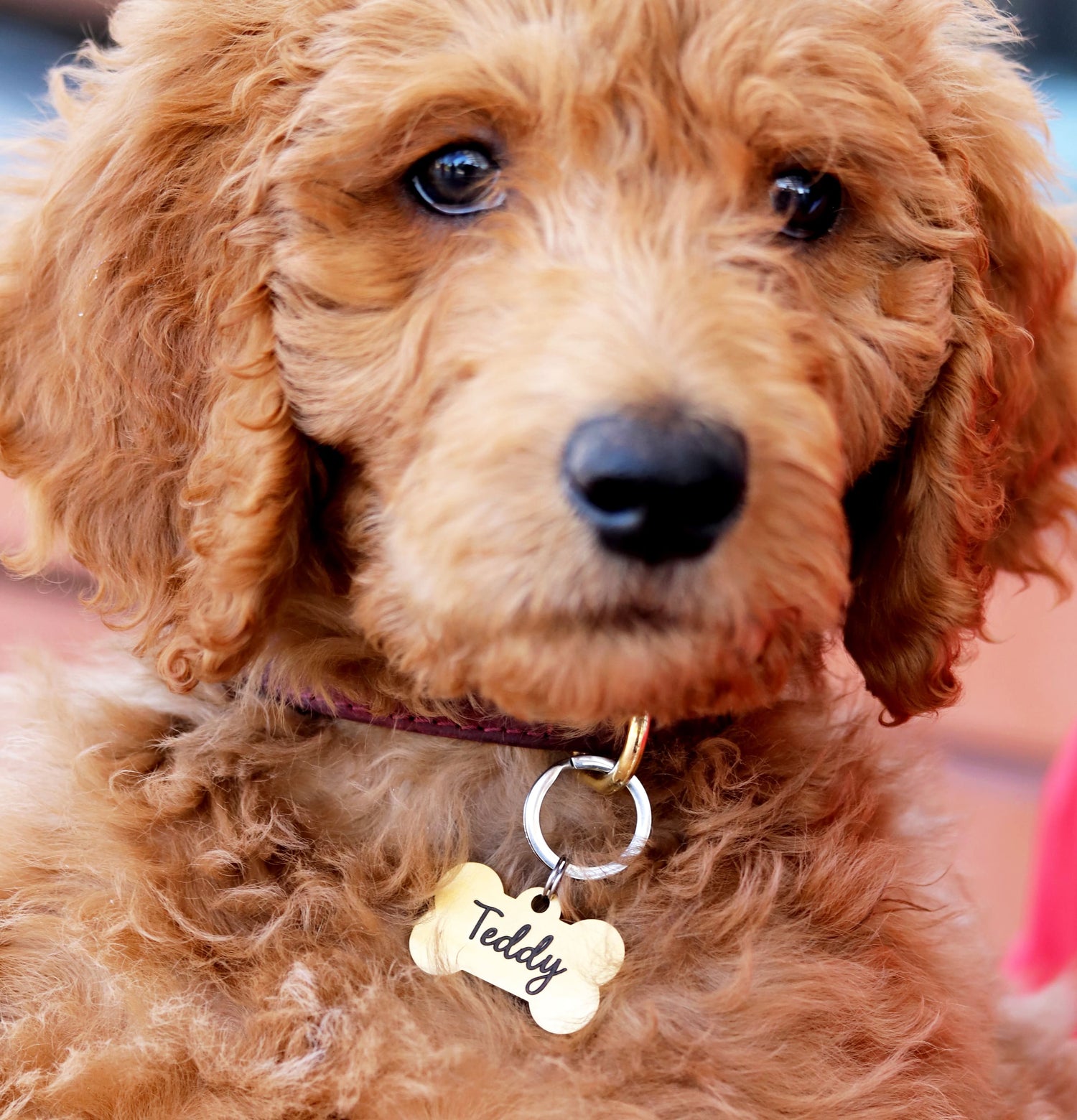 Lucky Tags, Dog Tags, Puppy Tags, Engraved Tags, Personalized Tags