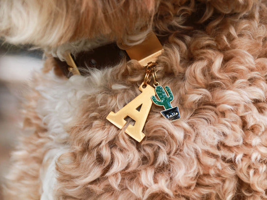 Lucky Tags Collar Charm with the Letter A and a Cactus