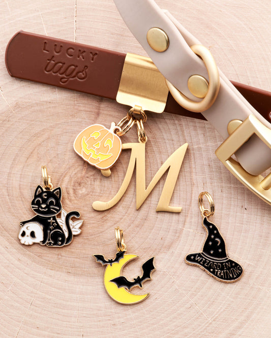Halloween Charms