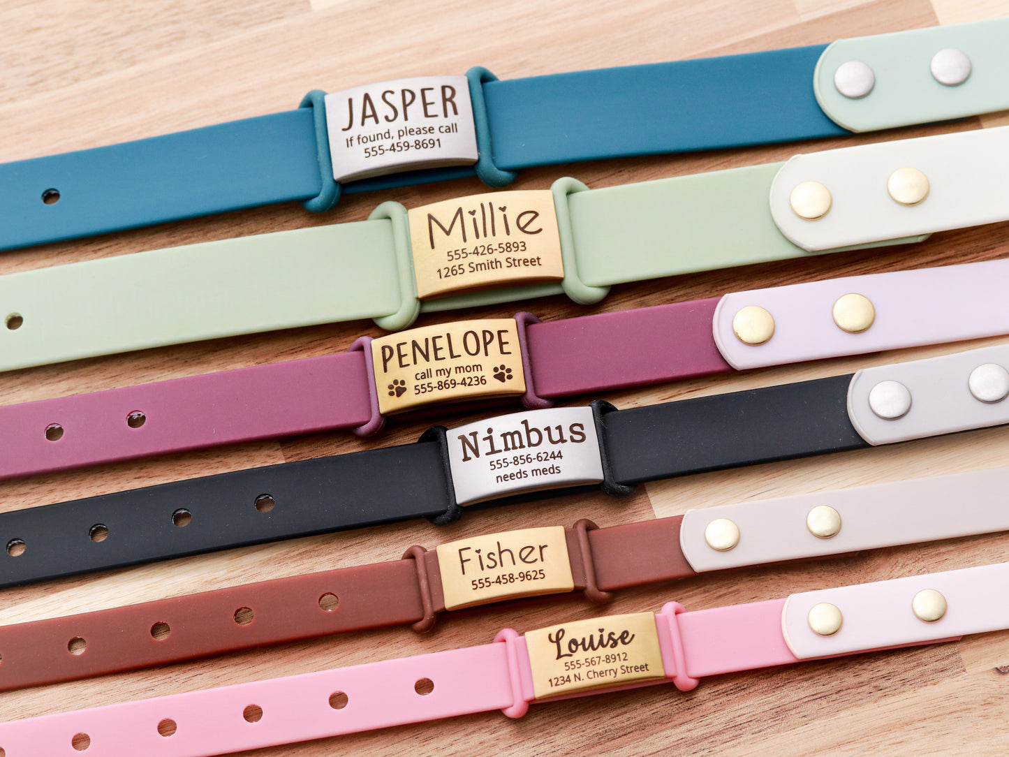 Silicone Pet ID Tag