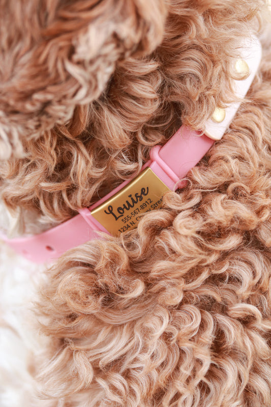 Silicone Pet ID Tag