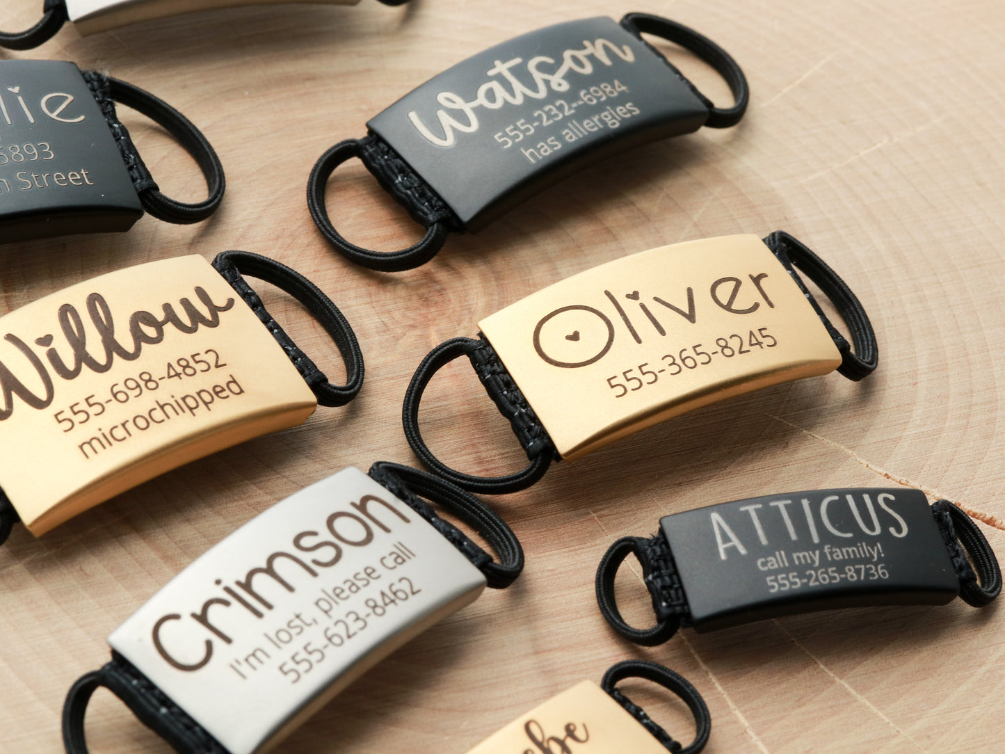 Elastic Pet ID Tag