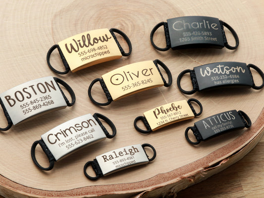 Elastic Pet ID Tag