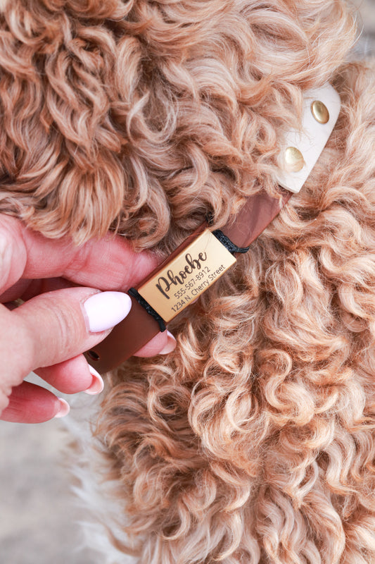 Elastic Pet ID Tag
