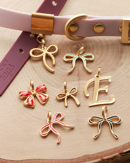 Bow Charms