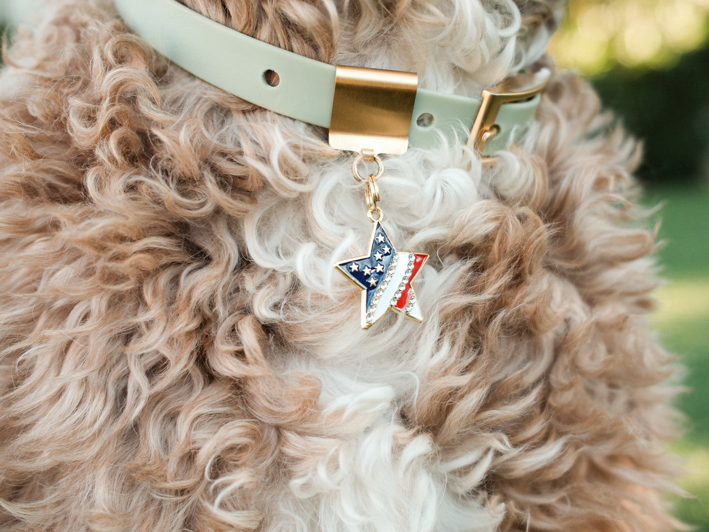 Patriotic Collar Charms