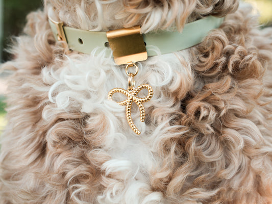 Bow Charms