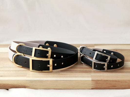 Stylish  dog collars featuring elegant gold or stainless steel buckles from Lucky Tags.